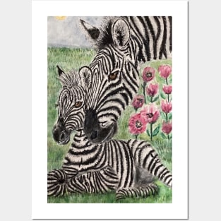 Zebra Posters and Art